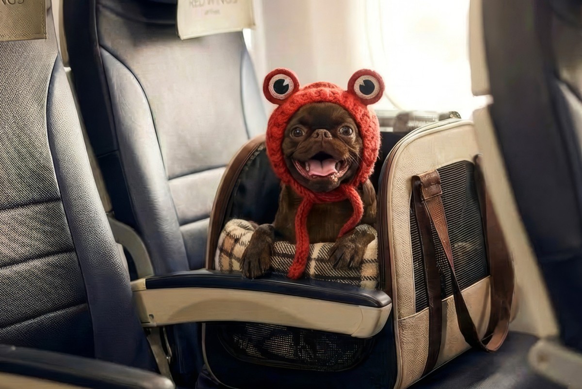 Перевозка животных