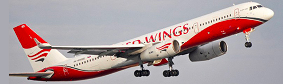 Red Wings - лидер регулярности в рейтинге самых пунктуальных авиакомпаний