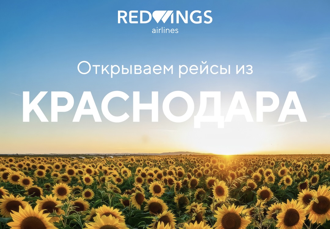 Red Wings будет летать из Краснодара в Махачкалу и Тбилиси