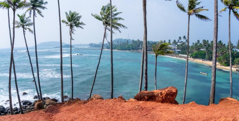 Red Wings перевезла на Шри-Ланку около 200 тысяч пассажиров